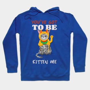 You've Got To Be Kitten Me Hoodie